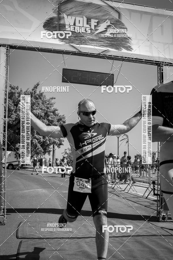 Buy your photos of the eventWolf Series - Botucatu on Fotop