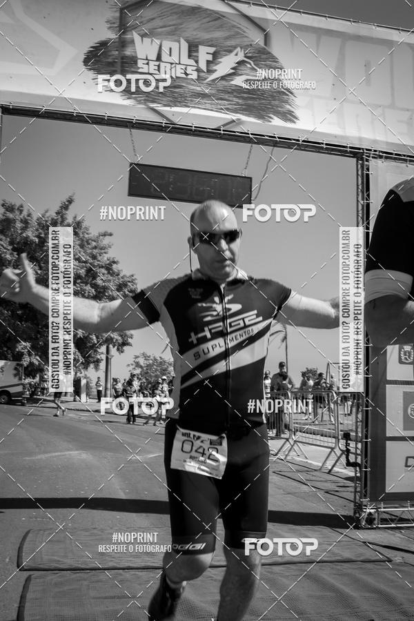 Buy your photos of the eventWolf Series - Botucatu on Fotop