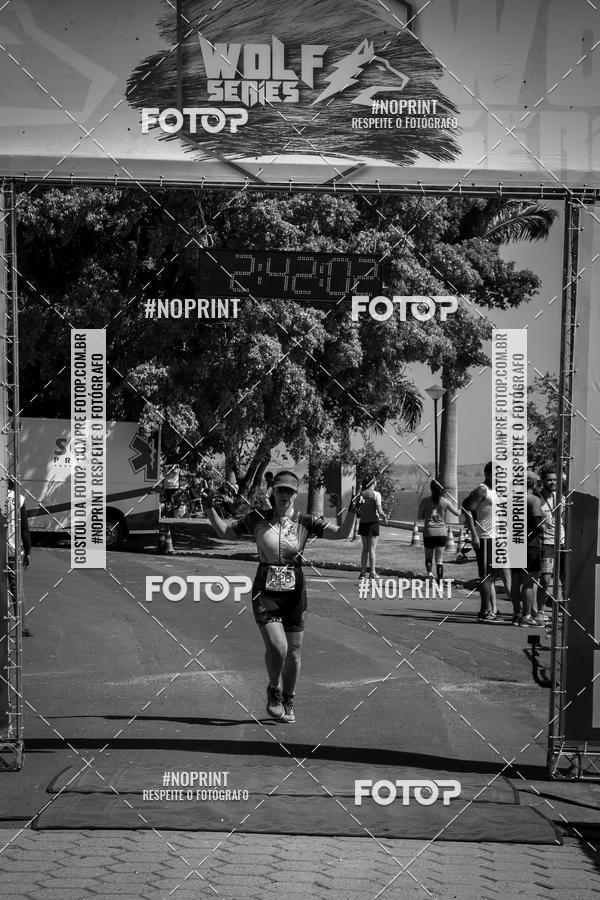 Buy your photos of the eventWolf Series - Botucatu on Fotop