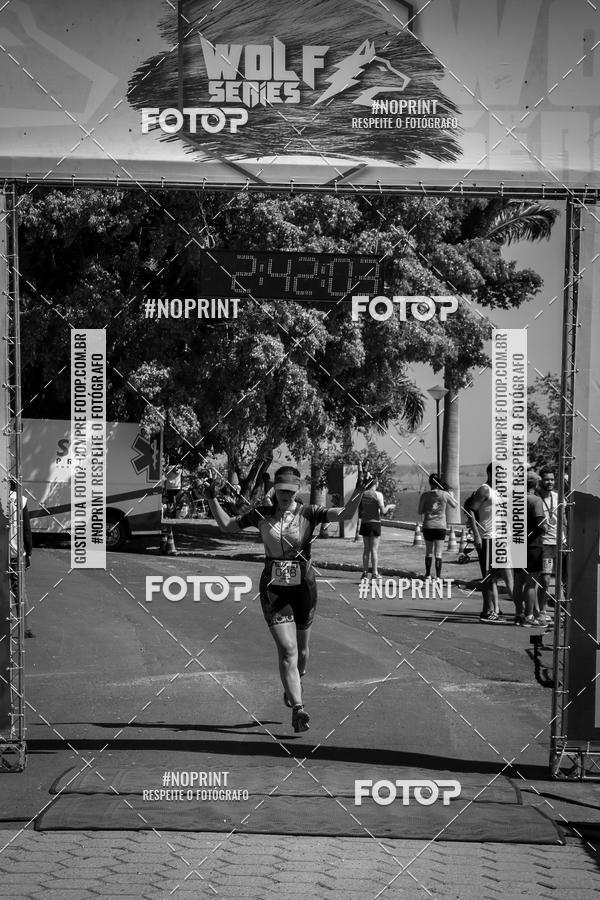 Buy your photos of the eventWolf Series - Botucatu on Fotop