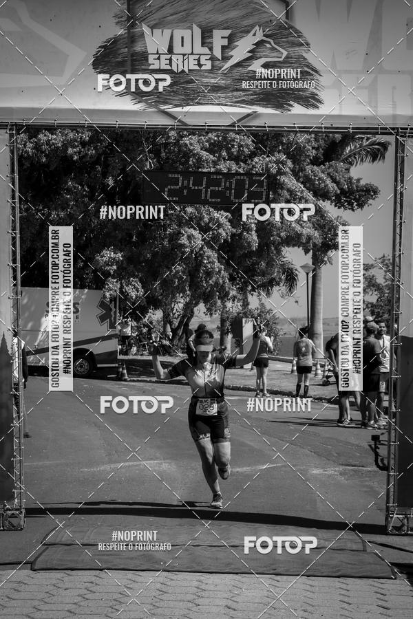 Buy your photos of the eventWolf Series - Botucatu on Fotop