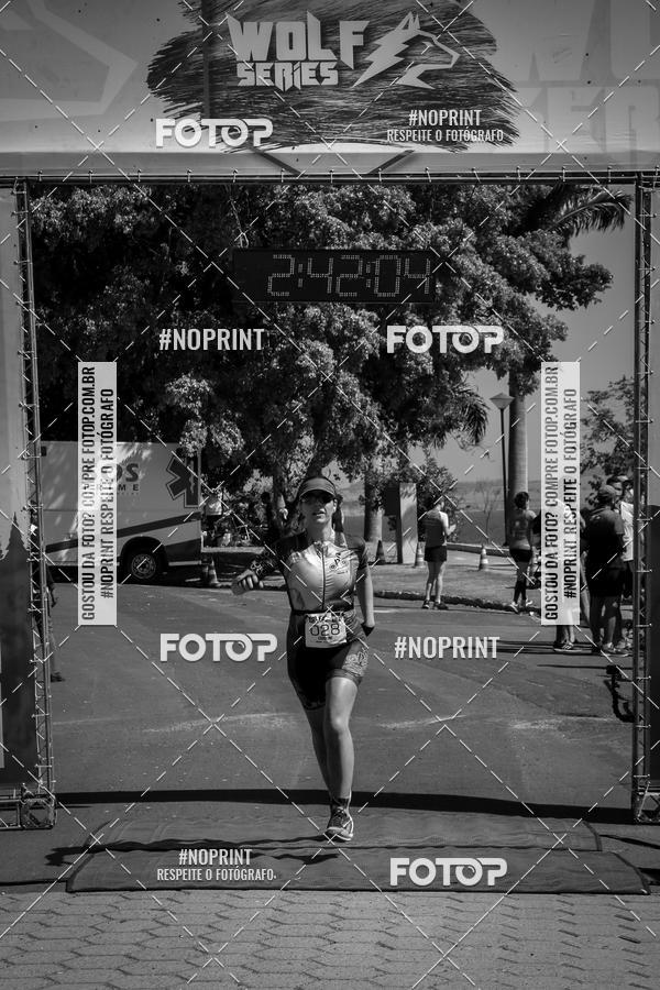 Buy your photos of the eventWolf Series - Botucatu on Fotop