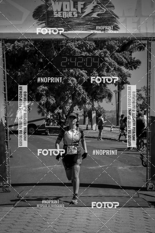 Buy your photos of the eventWolf Series - Botucatu on Fotop