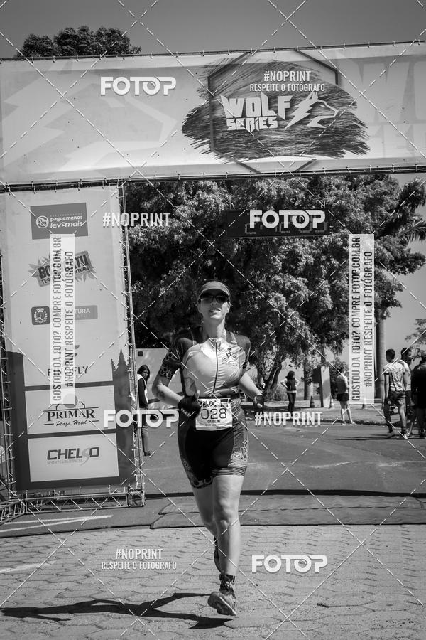 Buy your photos of the eventWolf Series - Botucatu on Fotop