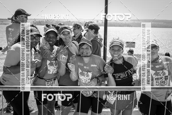 Buy your photos of the eventWolf Series - Botucatu on Fotop