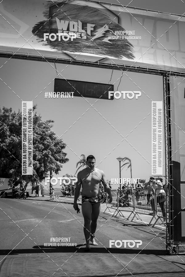 Buy your photos of the eventWolf Series - Botucatu on Fotop