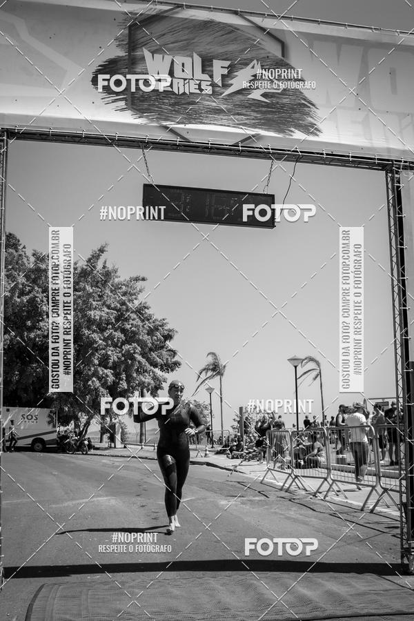 Buy your photos of the eventWolf Series - Botucatu on Fotop