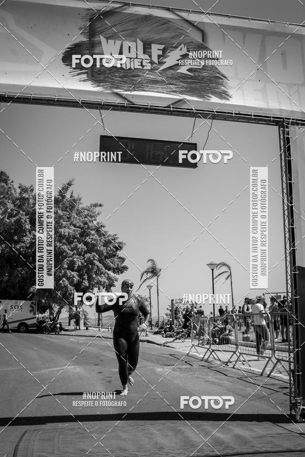 Buy your photos of the eventWolf Series - Botucatu on Fotop