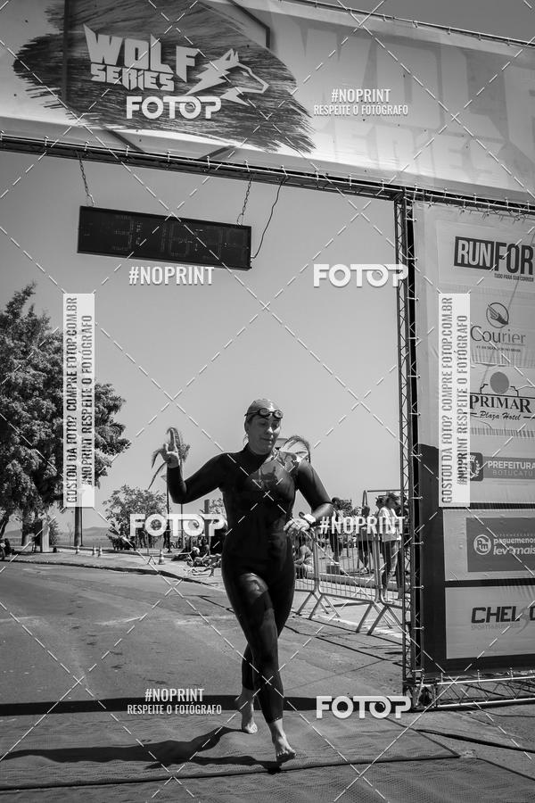 Buy your photos of the eventWolf Series - Botucatu on Fotop