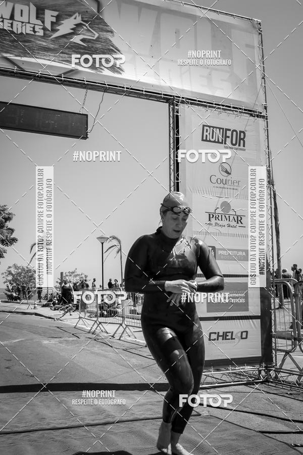 Buy your photos of the eventWolf Series - Botucatu on Fotop