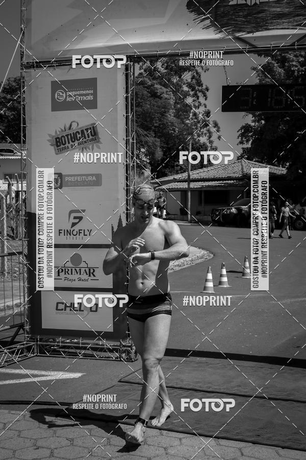 Buy your photos of the eventWolf Series - Botucatu on Fotop