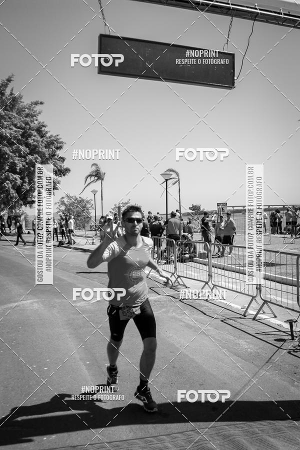 Buy your photos of the eventWolf Series - Botucatu on Fotop