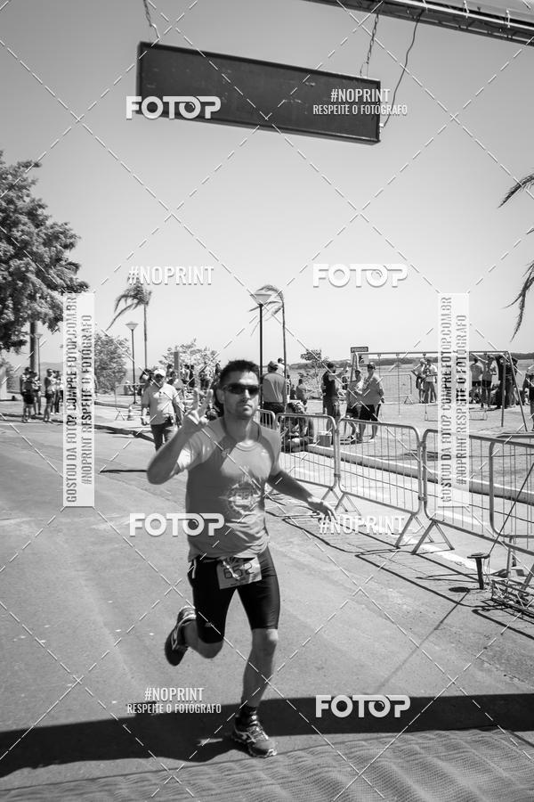 Buy your photos of the eventWolf Series - Botucatu on Fotop