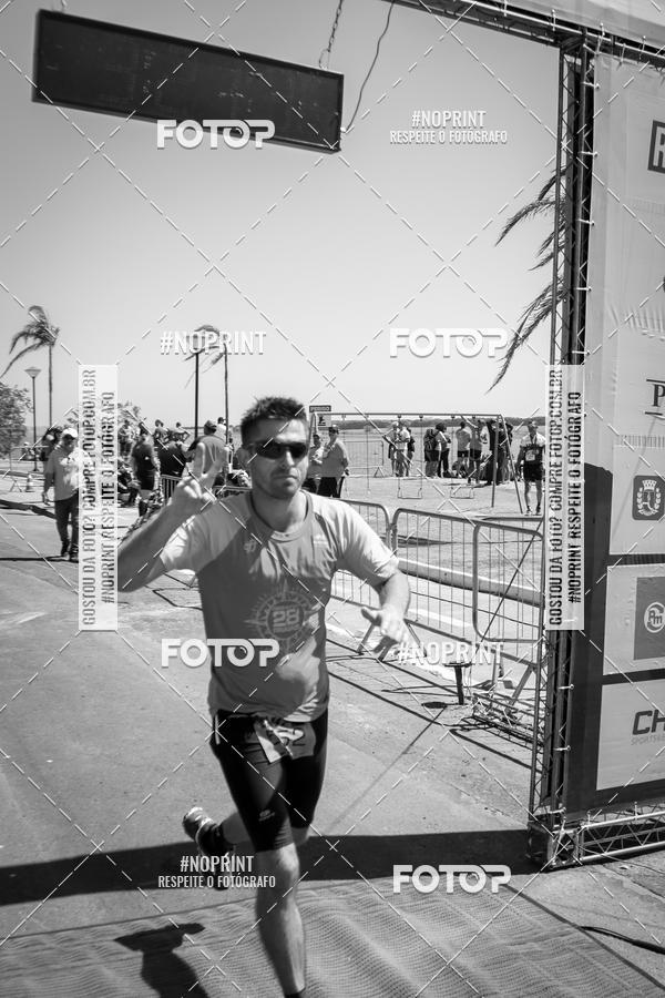 Buy your photos of the eventWolf Series - Botucatu on Fotop