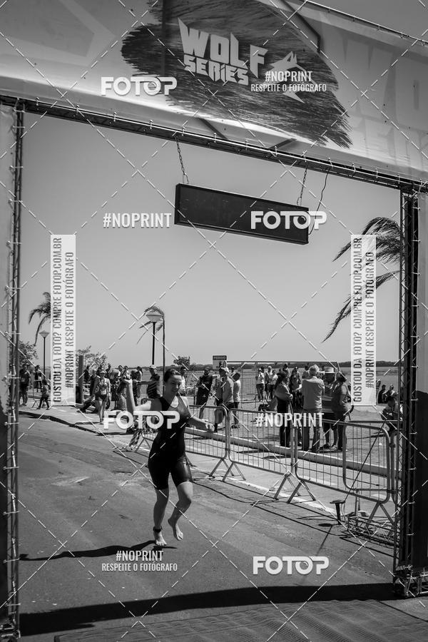 Buy your photos of the eventWolf Series - Botucatu on Fotop