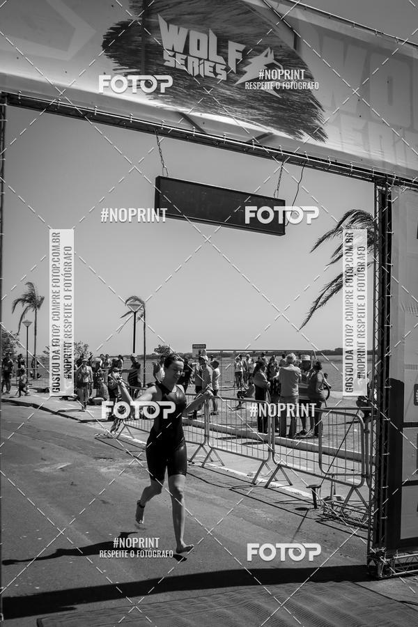 Buy your photos of the eventWolf Series - Botucatu on Fotop