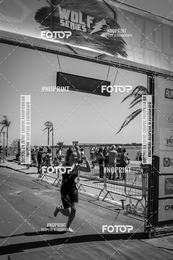 Buy your photos of the eventWolf Series - Botucatu on Fotop