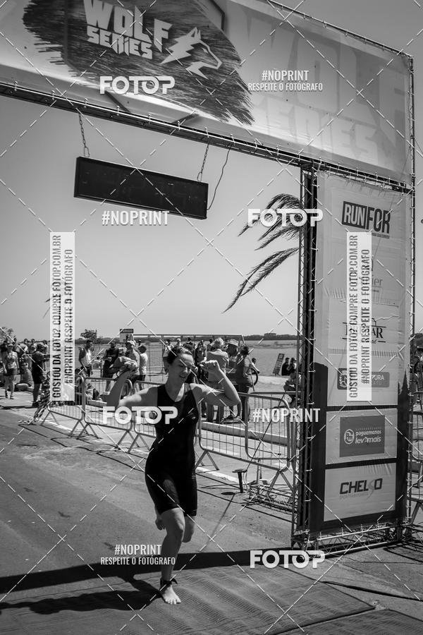 Buy your photos of the eventWolf Series - Botucatu on Fotop