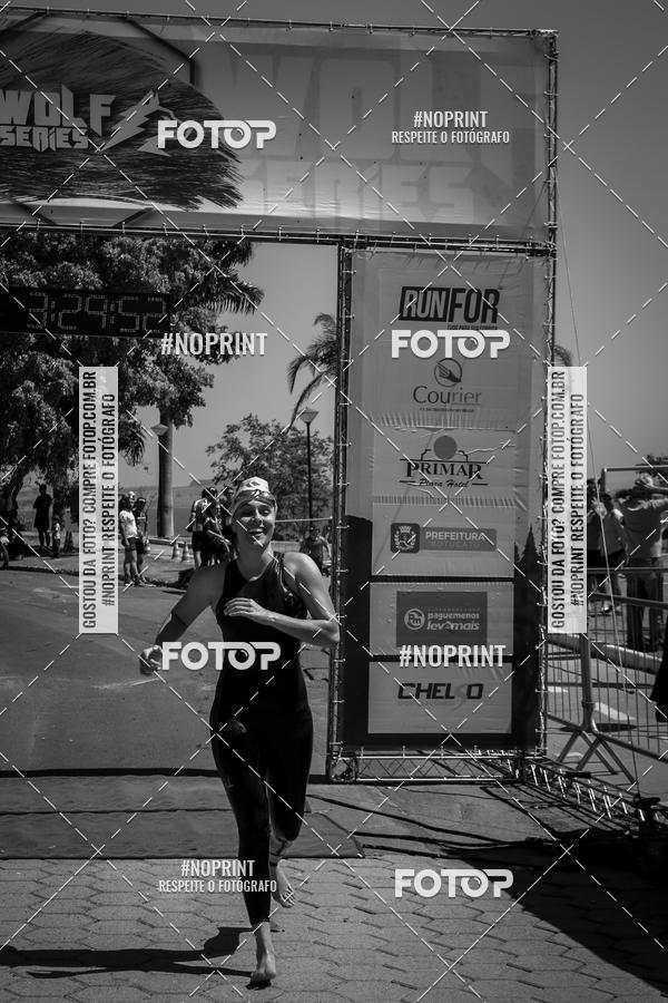 Buy your photos of the eventWolf Series - Botucatu on Fotop