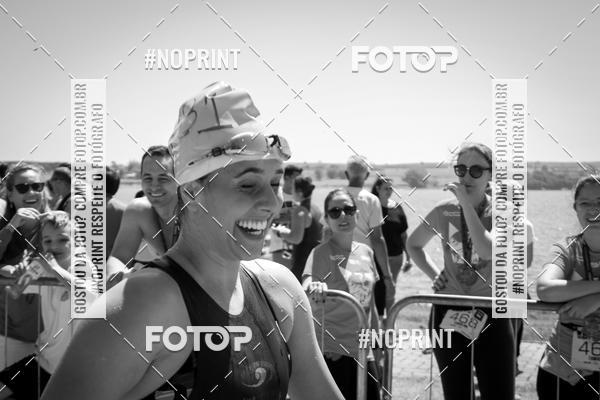 Buy your photos of the eventWolf Series - Botucatu on Fotop