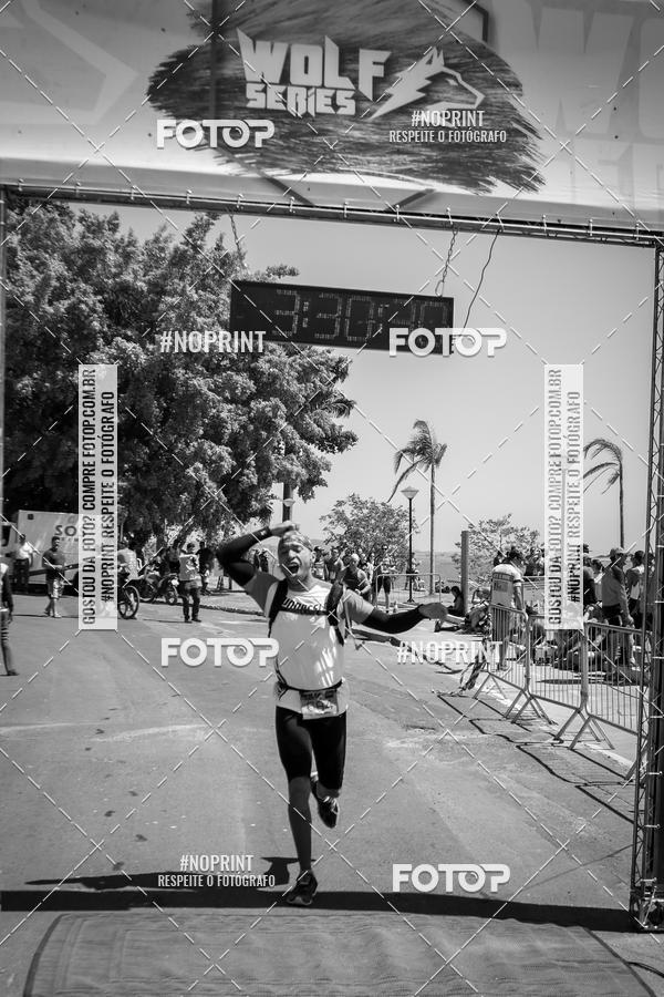 Buy your photos of the eventWolf Series - Botucatu on Fotop