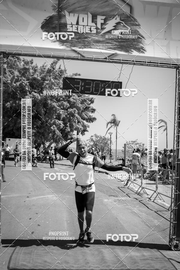 Buy your photos of the eventWolf Series - Botucatu on Fotop