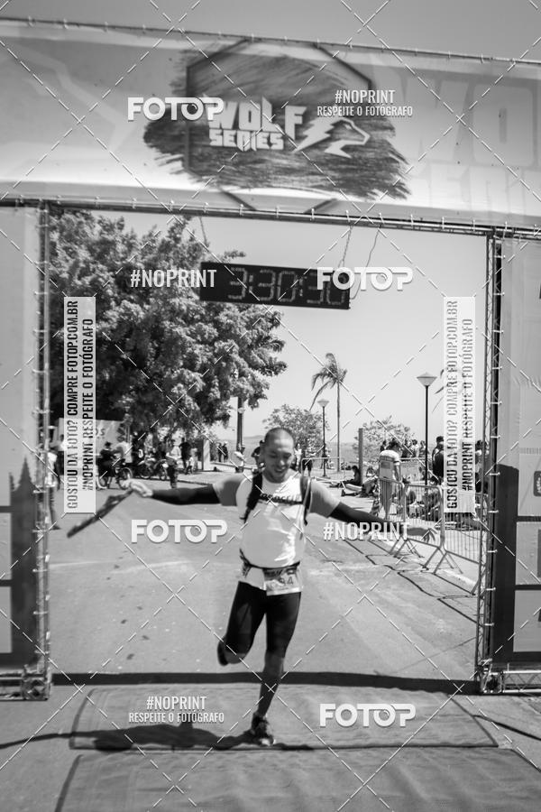 Buy your photos of the eventWolf Series - Botucatu on Fotop