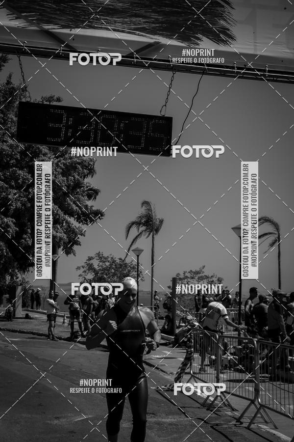 Buy your photos of the eventWolf Series - Botucatu on Fotop