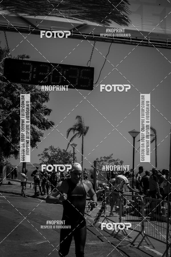 Buy your photos of the eventWolf Series - Botucatu on Fotop