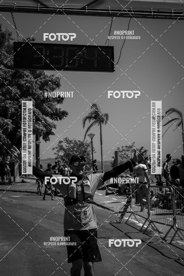 Buy your photos of the eventWolf Series - Botucatu on Fotop