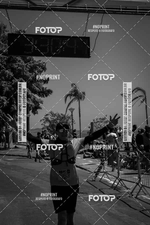 Buy your photos of the eventWolf Series - Botucatu on Fotop