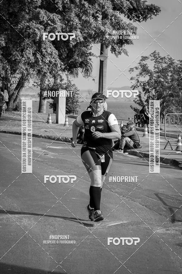 Buy your photos of the eventWolf Series - Botucatu on Fotop