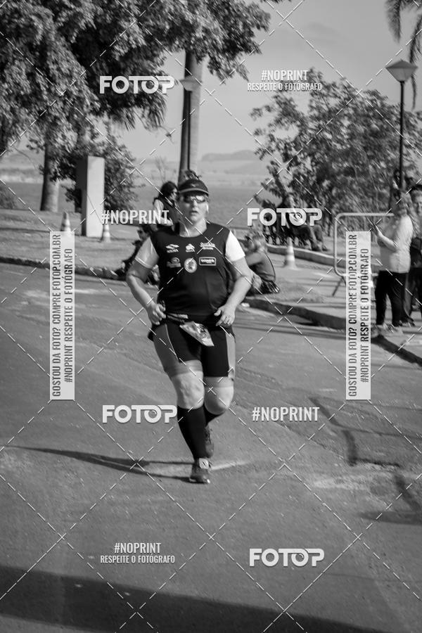 Buy your photos of the eventWolf Series - Botucatu on Fotop