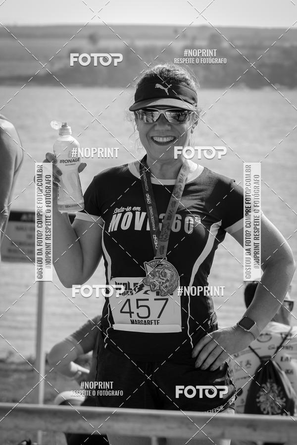 Buy your photos of the eventWolf Series - Botucatu on Fotop