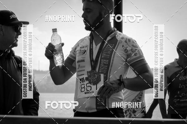 Buy your photos of the eventWolf Series - Botucatu on Fotop