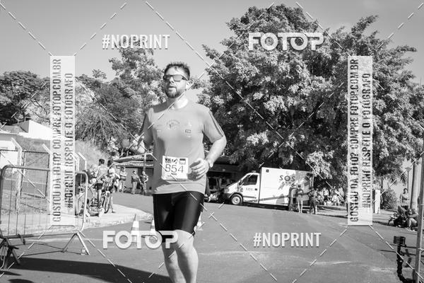 Buy your photos of the eventWolf Series - Botucatu on Fotop