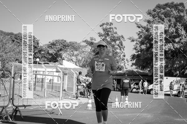 Buy your photos of the eventWolf Series - Botucatu on Fotop