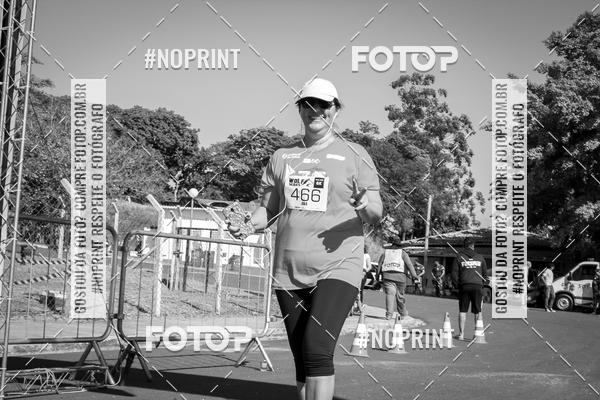 Buy your photos of the eventWolf Series - Botucatu on Fotop