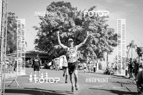 Buy your photos of the eventWolf Series - Botucatu on Fotop