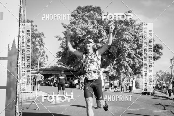 Buy your photos of the eventWolf Series - Botucatu on Fotop