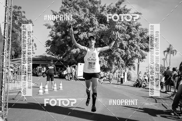 Buy your photos of the eventWolf Series - Botucatu on Fotop