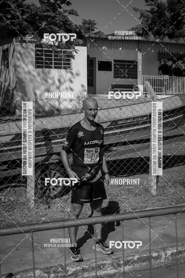 Buy your photos of the eventWolf Series - Botucatu on Fotop