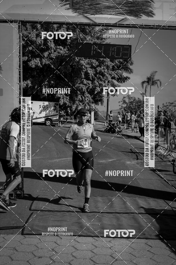 Buy your photos of the eventWolf Series - Botucatu on Fotop