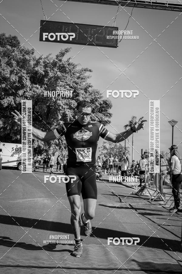 Buy your photos of the eventWolf Series - Botucatu on Fotop