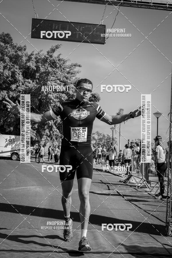 Buy your photos of the eventWolf Series - Botucatu on Fotop