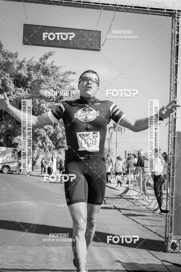 Buy your photos of the eventWolf Series - Botucatu on Fotop