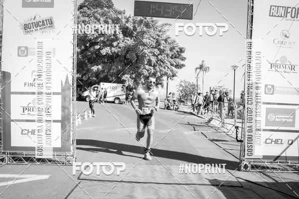 Buy your photos of the eventWolf Series - Botucatu on Fotop