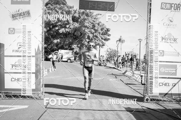 Buy your photos of the eventWolf Series - Botucatu on Fotop