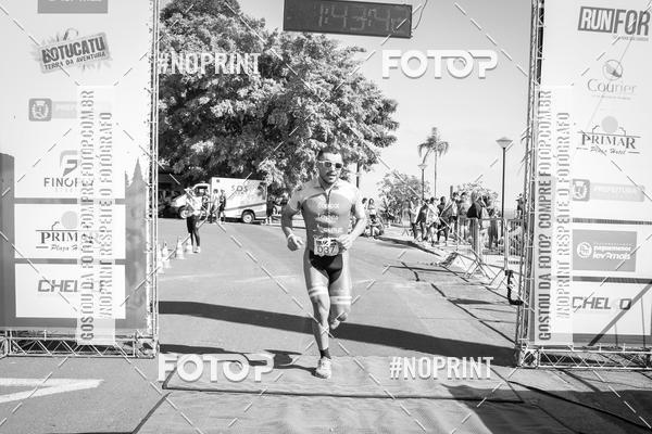 Buy your photos of the eventWolf Series - Botucatu on Fotop