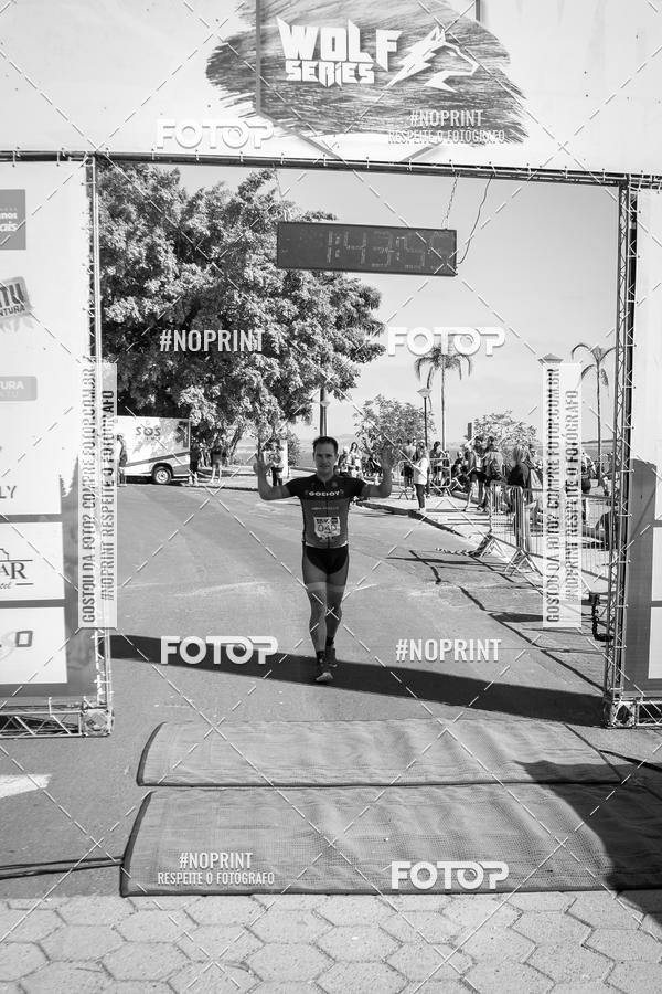 Buy your photos of the eventWolf Series - Botucatu on Fotop